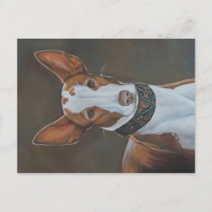 Carte postale Kenzie the Ibizan Hound Dog Art