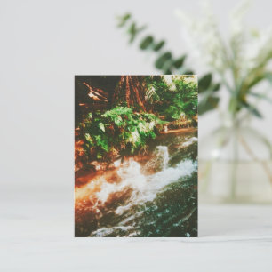 Carte Postale Kerosene Creek, Rotorua, Nouvelle-Zélande