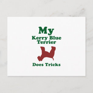 Carte Postale Kerry Blue Terrier