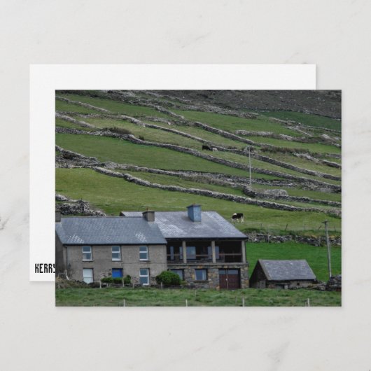 Carte Postale Kerry / Irlande (Devant / Derrière)