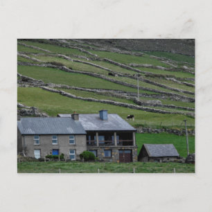 Carte Postale Kerry / Irlande