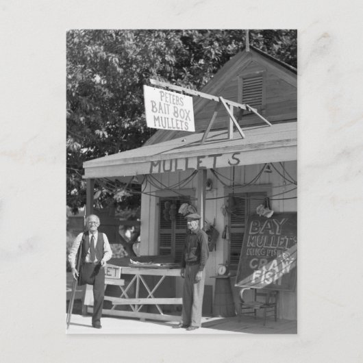 Carte Postale Key West Bait Shop, années 30 (Devant)