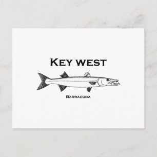 Carte Postale Key West Barracuda