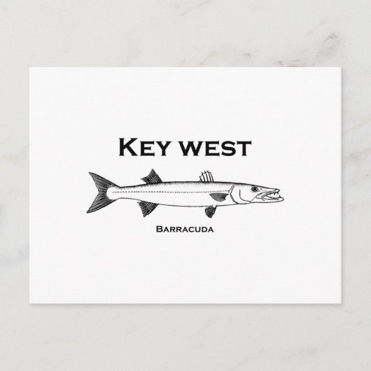 Carte Postale Key West Barracuda (Devant)