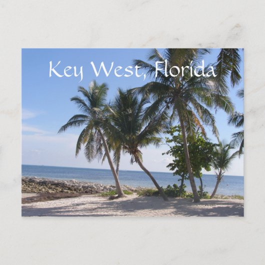 Carte Postale Key West, Floride (Devant)