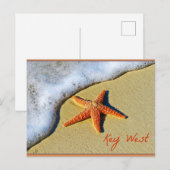 Carte Postale Key West Floride (Devant / Derrière)