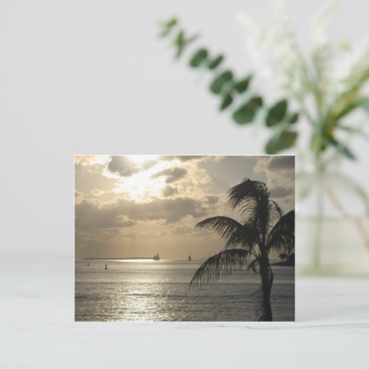 Carte Postale Key West, Floride (Debout devant)