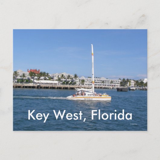 Carte Postale Key West, Floride (Devant)