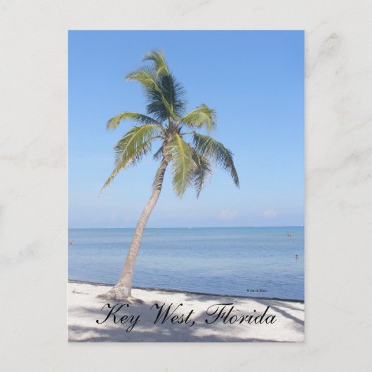 Carte Postale Key West, Floride (Devant)