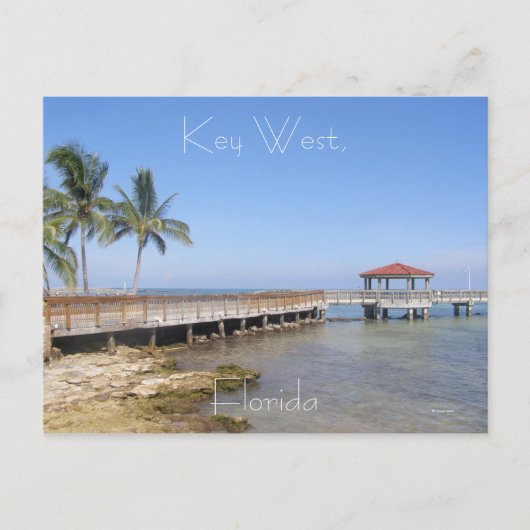 Carte Postale Key West, Floride (Devant)
