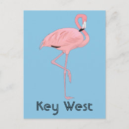 Carte Postale Key West Floride Flamant Rose