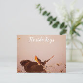 Carte Postale Key West Shorebird Sunset Rocks Keys de Floride (Debout devant)