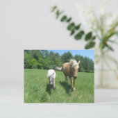 Carte Postale Khrysta et cash (Debout devant)