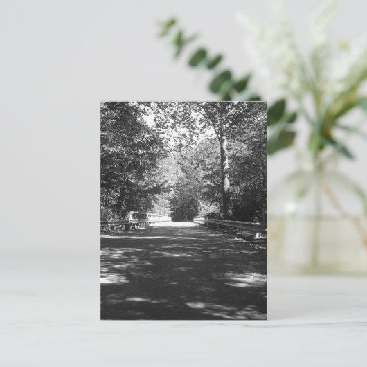 Carte postale Kickapoo State Park Bridge (Debout devant)