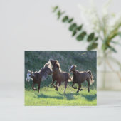 Carte Postale Kicking (Debout devant)