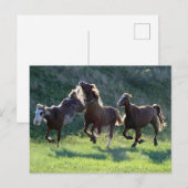 Carte Postale Kicking (Devant / Derrière)