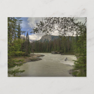 Carte Postale Kicking Horse