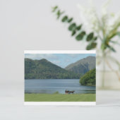 Carte Postale Killarney Lakes et Jarvey (Debout devant)