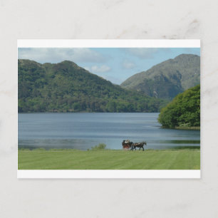 Carte Postale Killarney Lakes et Jarvey