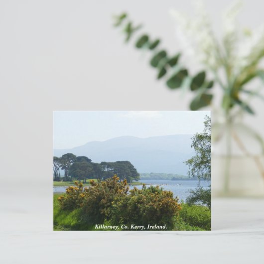 Carte Postale Killarney lakeside, comté de Kerry, Irlande (Debout devant)