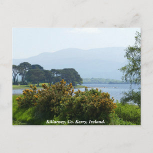 Carte Postale Killarney lakeside, comté de Kerry, Irlande