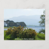 Carte Postale Killarney lakeside, comté de Kerry, Irlande (Devant)