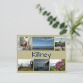 Carte Postale Killiney Collage (Debout devant)