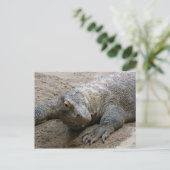 Carte Postale Kimodo Dragon (Debout devant)