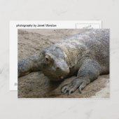 Carte Postale Kimodo Dragon (Devant / Derrière)