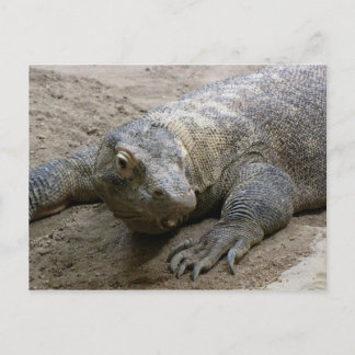 Carte Postale Kimodo Dragon