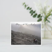 Carte Postale kinabalu acanthe (Debout devant)