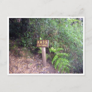 Carte Postale kinabalu km 3,5