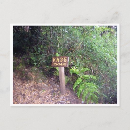 Carte Postale kinabalu km 3,5 (Devant)