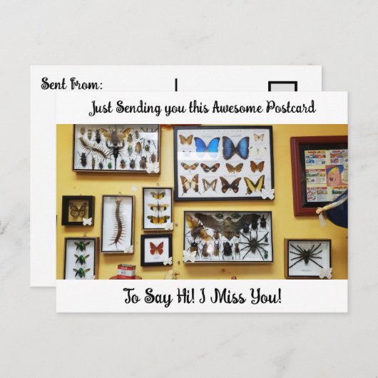 Carte Postale Kinda Déplaisant "Je te manque", Dit Hi Postcard (Devant / Derrière)