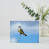 Carte Postale King Bird (Debout devant)
