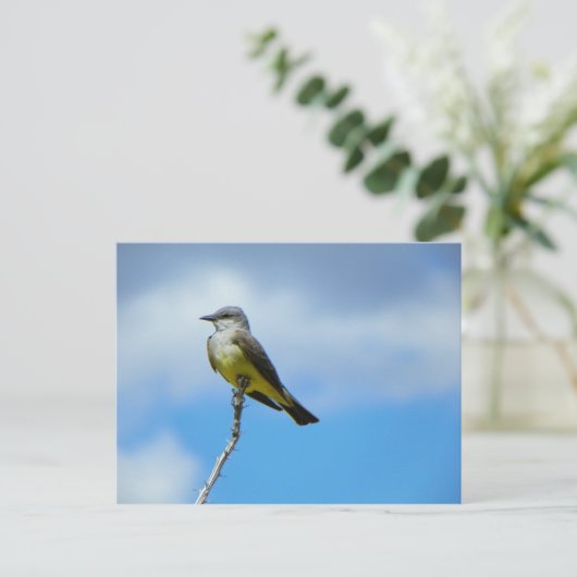 Carte Postale King Bird (Debout devant)