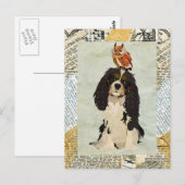 Carte postale King Cavalier & Owl (Devant / Derrière)
