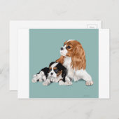 Carte Postale King Charles (Devant / Derrière)