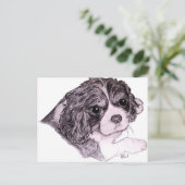 Carte postale King Charles Cavalier Spaniel (Debout devant)