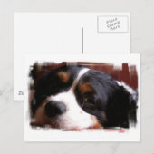 Carte postale King Charles Cavalier Spaniel (Devant / Derrière)