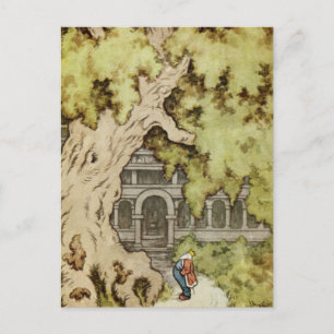 Carte Postale King cherche un arbre géant