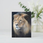 Carte Postale King Of The Jungle Two Lion (Debout devant)