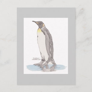 Carte postale King Penguin