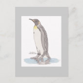 Carte postale King Penguin (Devant)