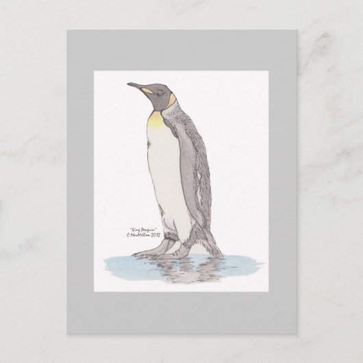 Carte postale King Penguin (Devant)