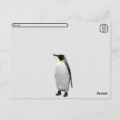 Carte postale King Penguins (Dos)