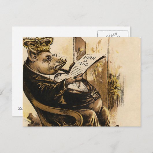 Carte Postale King Pig Lit Son Journal (Devant / Derrière)