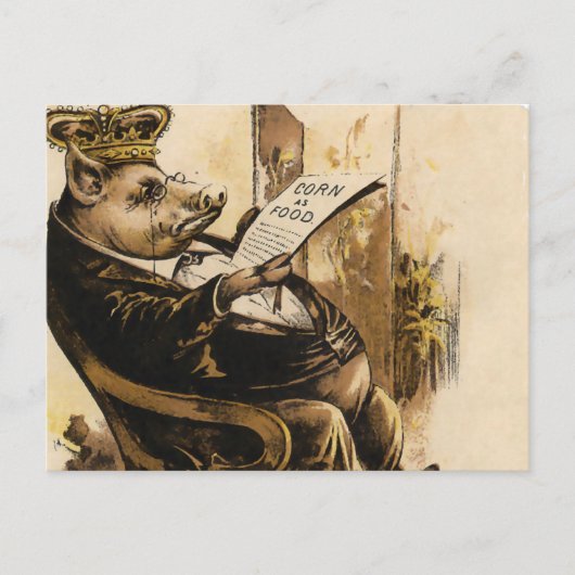 Carte Postale King Pig Lit Son Journal (Devant)