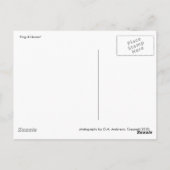 Carte Postale King & Queen, B&W (Dos)