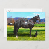 Carte postale "King Richard" (Devant / Derrière)